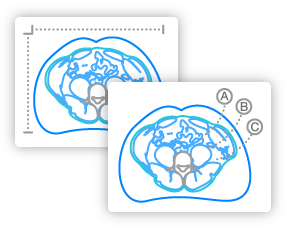 Icon scans measure