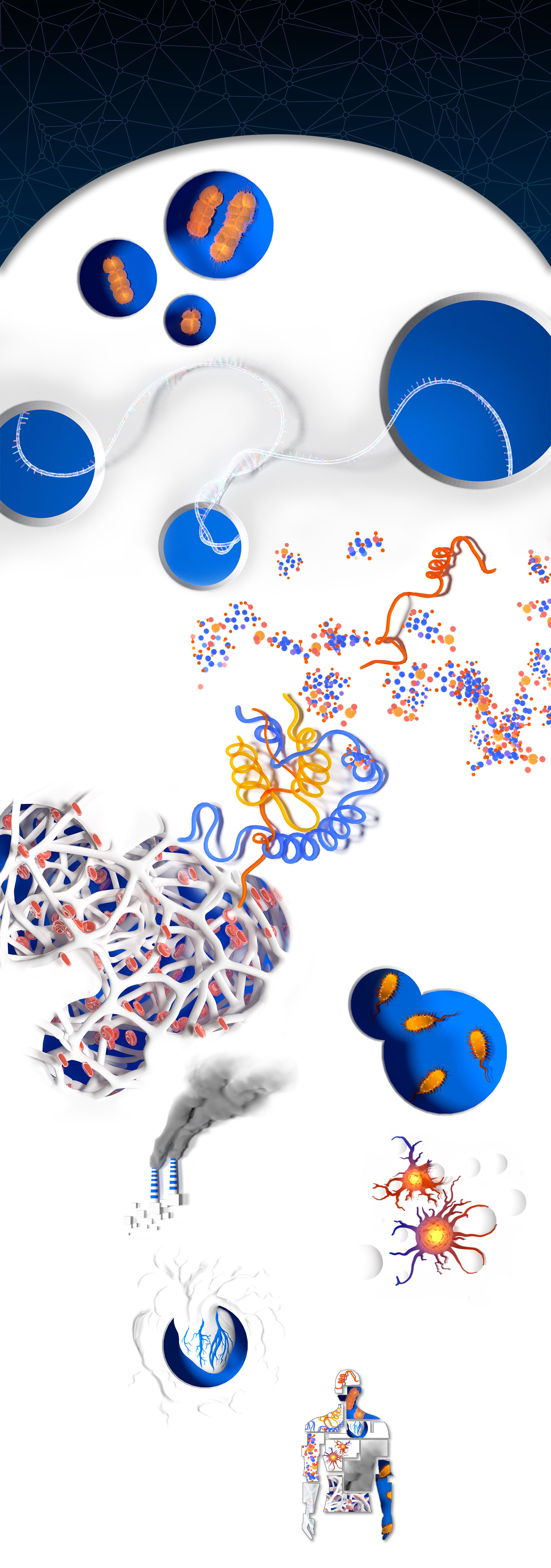 Morphomics diagram